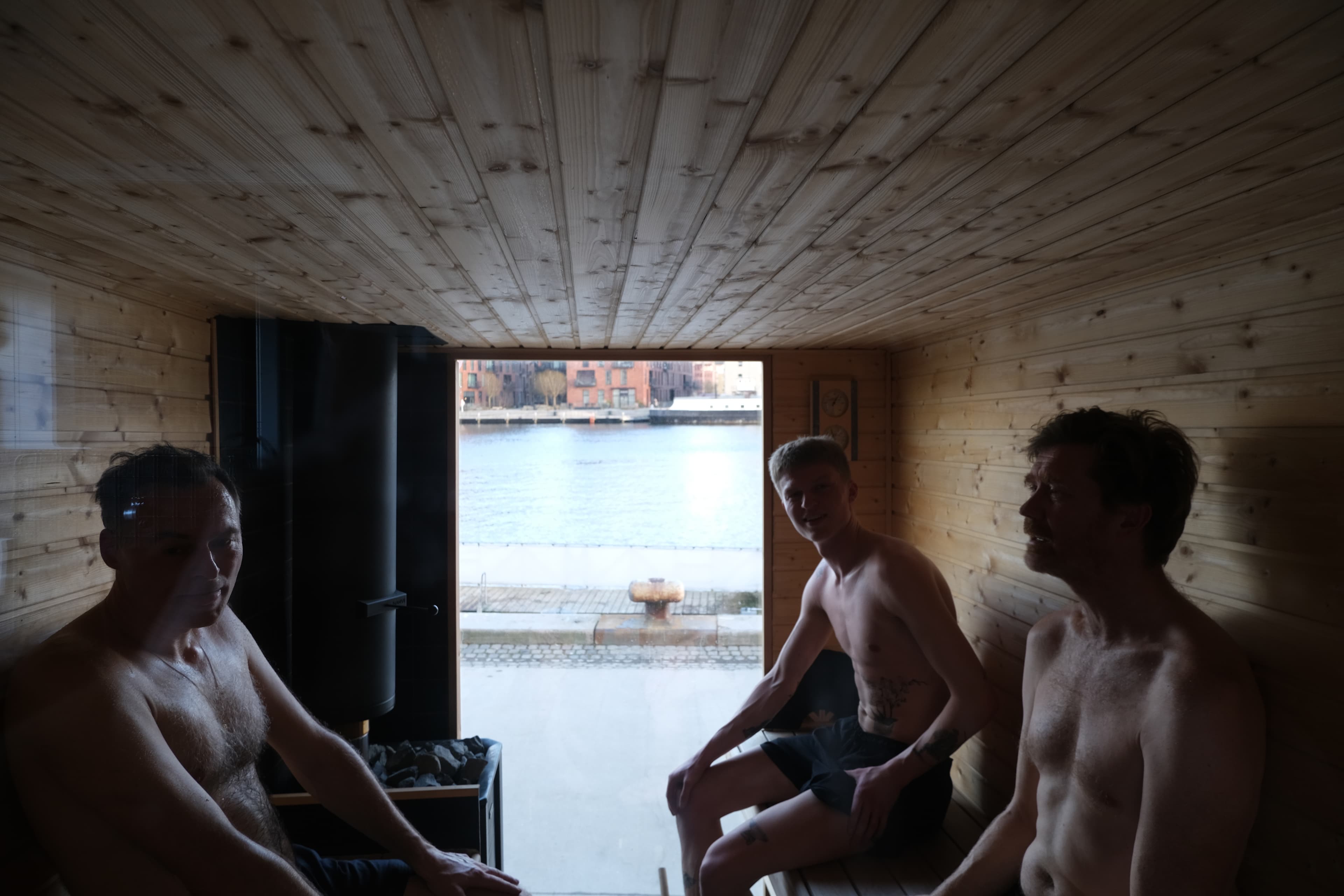 Vauna galleri billede 12